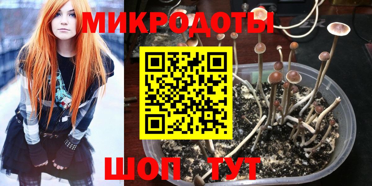 Псилоцибиновые грибы прущие грибы  купить  цена  Галлюциногенные грибы прущие грибы  Богородск  Вход с VPN 