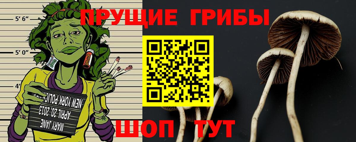 Псилоцибиновые грибы ЛСД Богородск